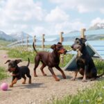 Manchester Terrier Portrait